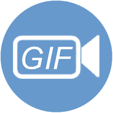 ThunderSoft GIF To AVI Converter Serial
