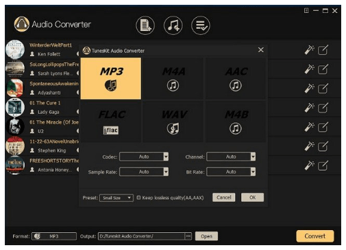 TunesKit Audio Converter Serial Key